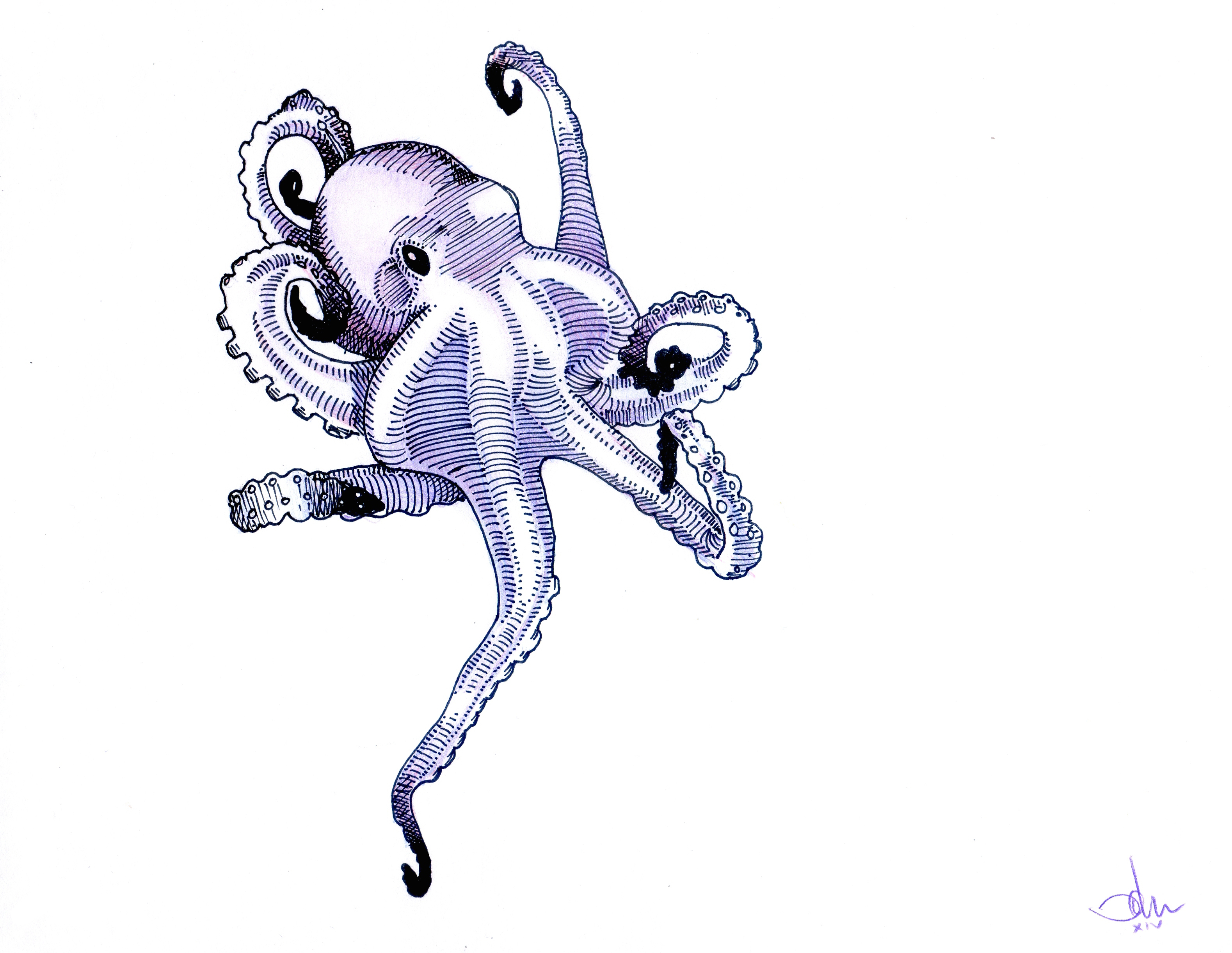 Copy of birthday-ocotpus-for-damon-ink-colored-pencil