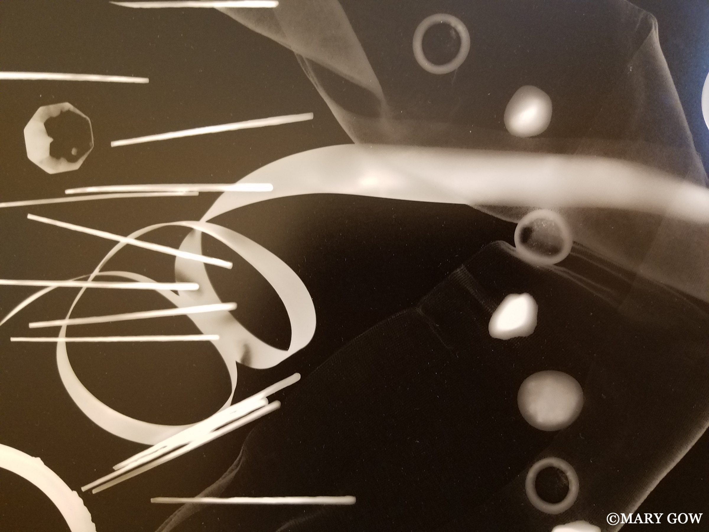 NecessarilyOnward_VisualArts_Photogram_MaryGow