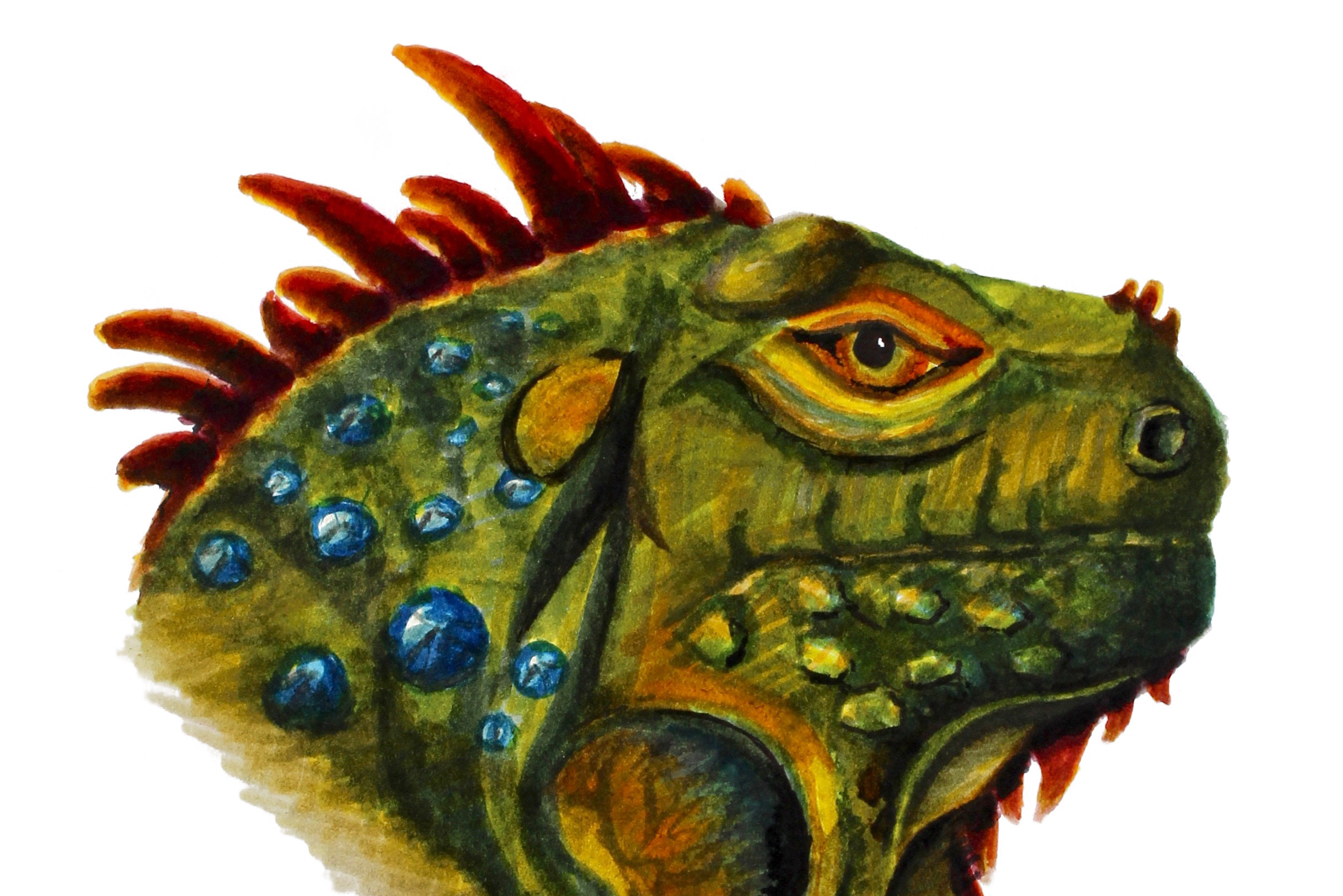 Dragon Love God – Skooter Fein