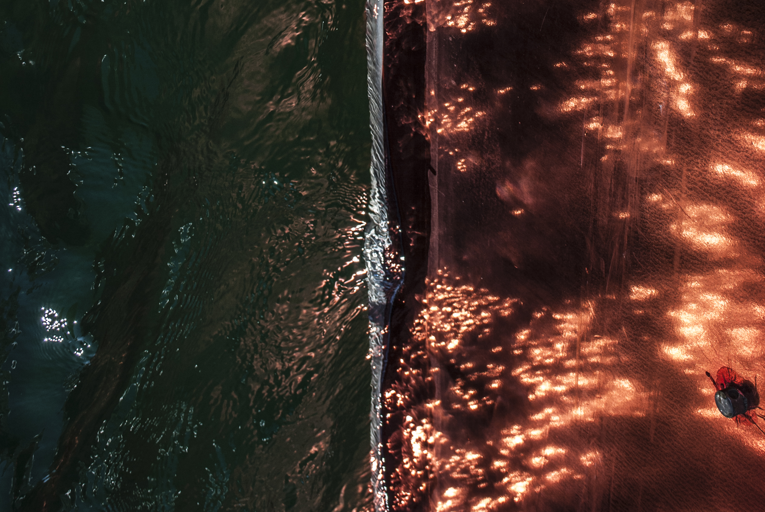 Fiction Piece “Rikki” Featuring Image “Couer d’Alene”