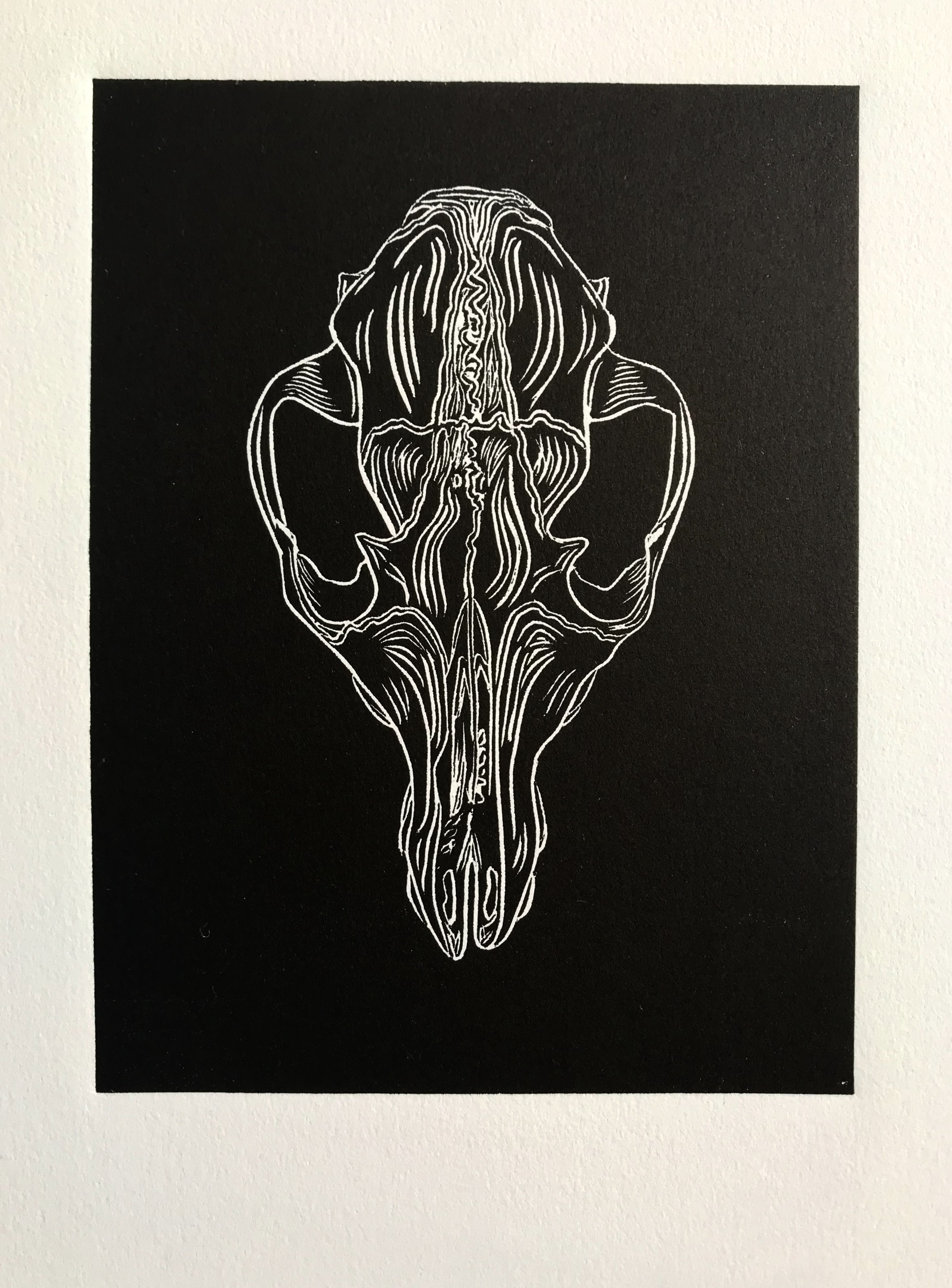 Copy of Canid IV_Visual Arts_Linocut Print