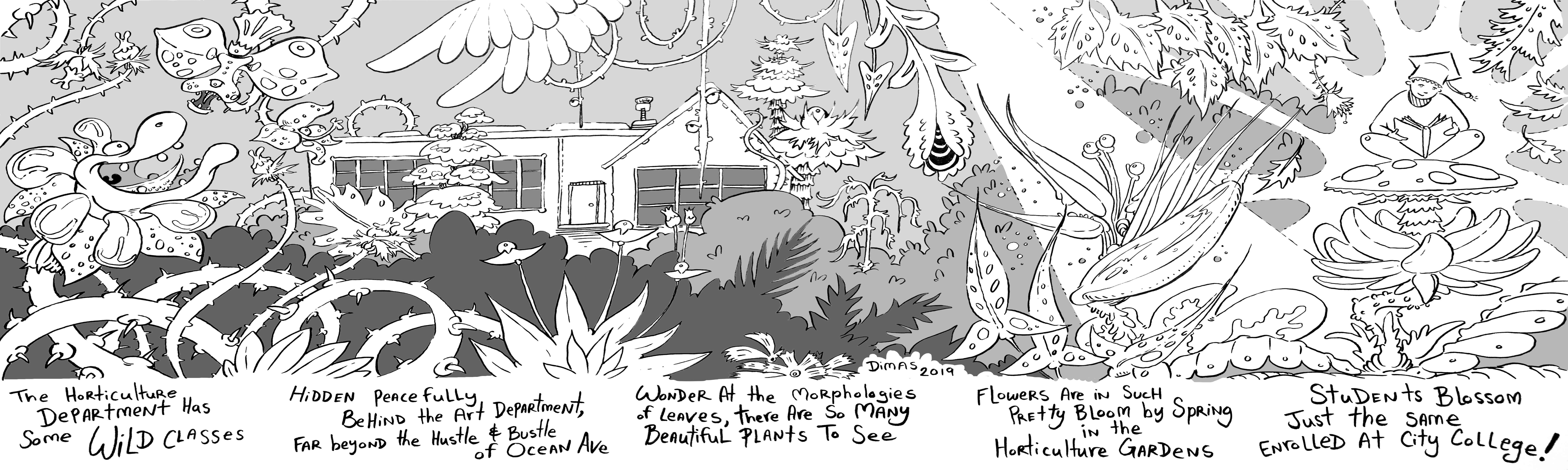 Copy of Flowers_illustration_ink