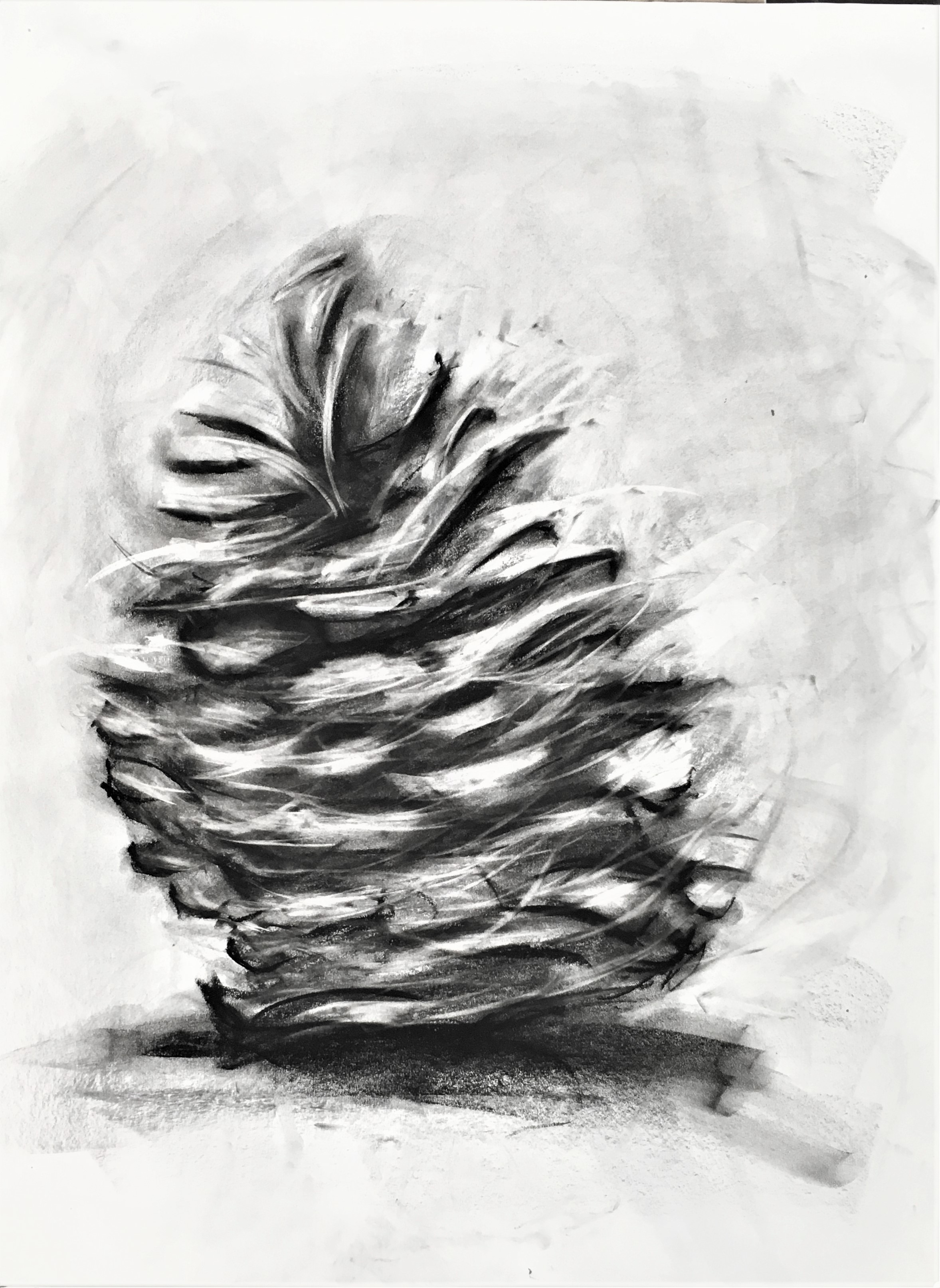 sifted bones